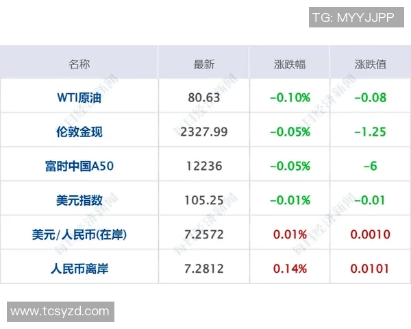 2024年欧洲杯参赛国家名单及其历史表现分析