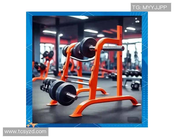 全面解析所有健身器材图片大全助你选择适合的健身工具与器械