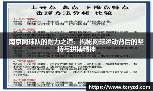 AC米兰体育官网入口