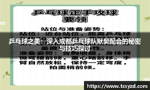 乒乓球之美：深入成都乒乓球队默契配合的秘密与技巧探讨