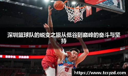 深圳篮球队的蜕变之旅从低谷到巅峰的奋斗与坚持