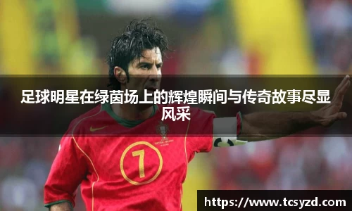 足球明星在绿茵场上的辉煌瞬间与传奇故事尽显风采