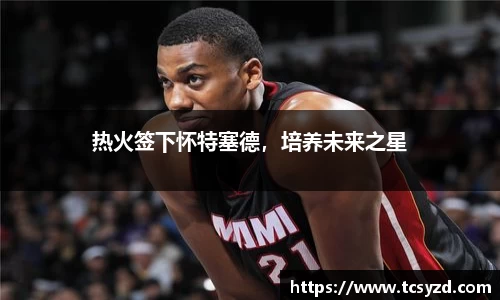热火签下怀特塞德，培养未来之星