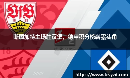 斯图加特主场胜汉堡，德甲积分榜崭露头角